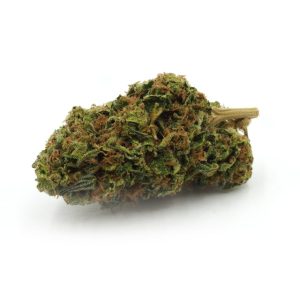 GIRL SCOUT COOKIES