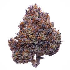 Purple Runtz