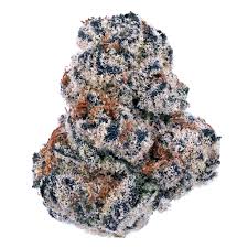Gelato 41